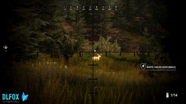 دانلود نسخه فشرده بازی Hunting Simulator 2: A Rangers Life برای PC