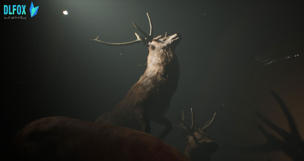 دانلود نسخه فشرده Project 13: Taxidermy Trails برای PC