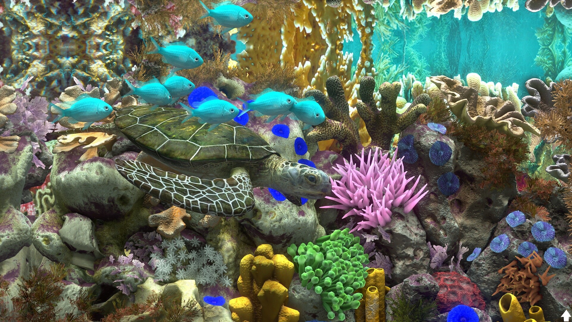 دانلود نسخه فشرده بازی Behind Glass: Aquarium Simulator برای PC