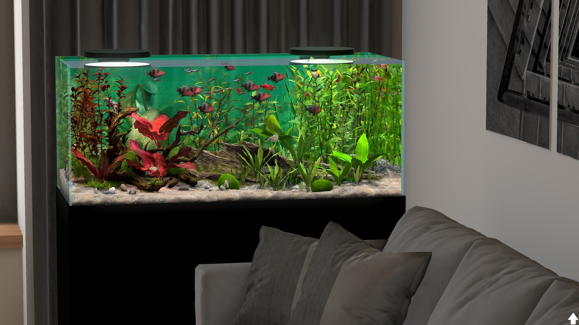 دانلود نسخه فشرده بازی Behind Glass: Aquarium Simulator برای PC