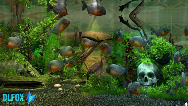 دانلود نسخه فشرده بازی Behind Glass: Aquarium Simulator برای PC