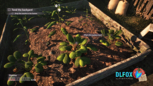 دانلود نسخه فشرده بازی Fractured Blooms برای PC