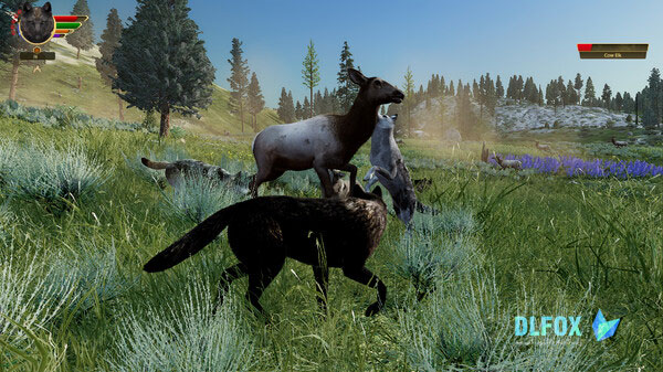 دانلود نسخه فشرده بازی WolfQuest Anniversary Edition برای PC