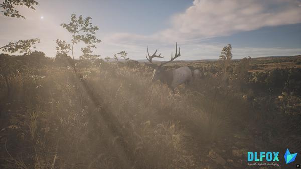 دانلود نسخه فشرده بازی PROJECT HUNT LONE STAR HUNTING RANCH برای PC