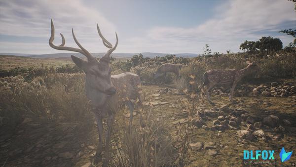 دانلود نسخه فشرده بازی PROJECT HUNT LONE STAR HUNTING RANCH برای PC