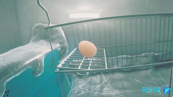 دانلود نسخه فشرده بازی Egging On برای PC