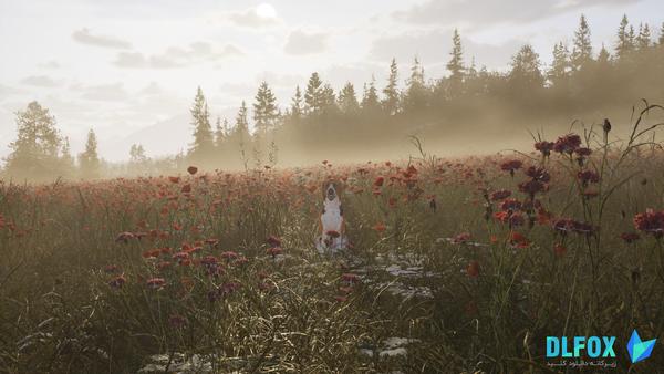 دانلود نسخه فشرده بازی Next Hunting Adventure برای PC