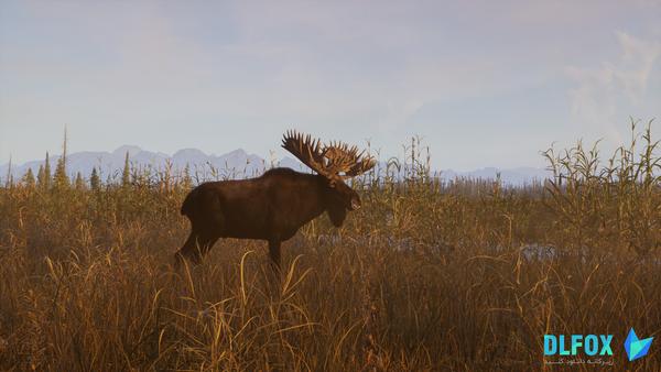 دانلود نسخه فشرده بازی Next Hunting Adventure برای PC