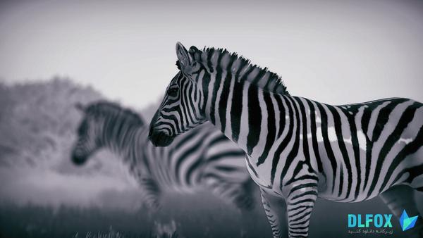 دانلود نسخه فشرده بازی Seclusa برای PC